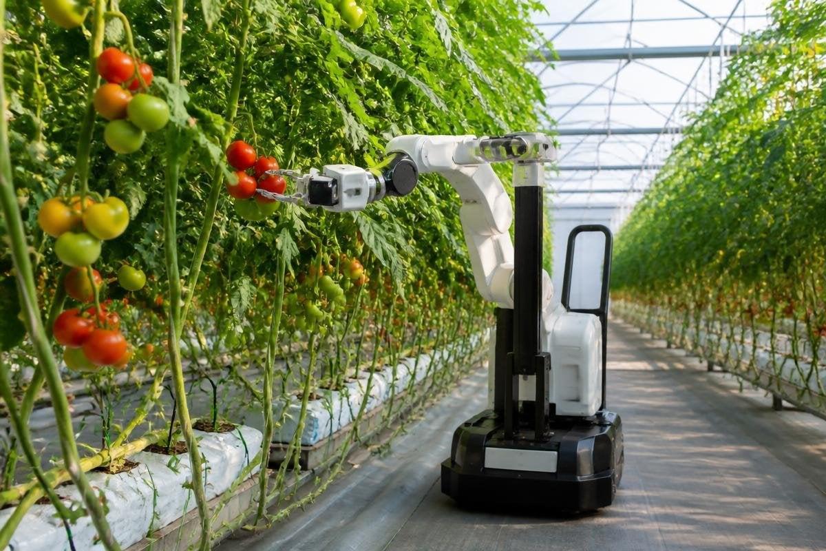 the-greenhouse-tasks-robots-can-handle-first-1200x800-v1.jpg